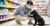 VAGA DE RECEPCIONISTA PARA PET SHOP
