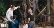 VAGA PARA BLHETEIRA DE ZOOLÓGICO